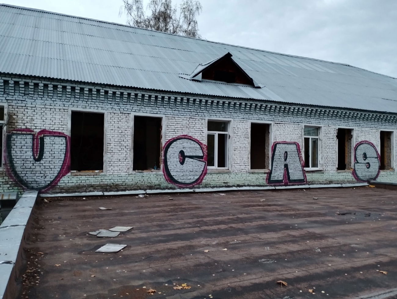 Graffiti Wall - Photo by Coler - ucas, ucascrew, koler (2022)