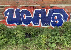 Graffiti Wall - Photo by Coler - ucas, ucascrew, koler (2021)