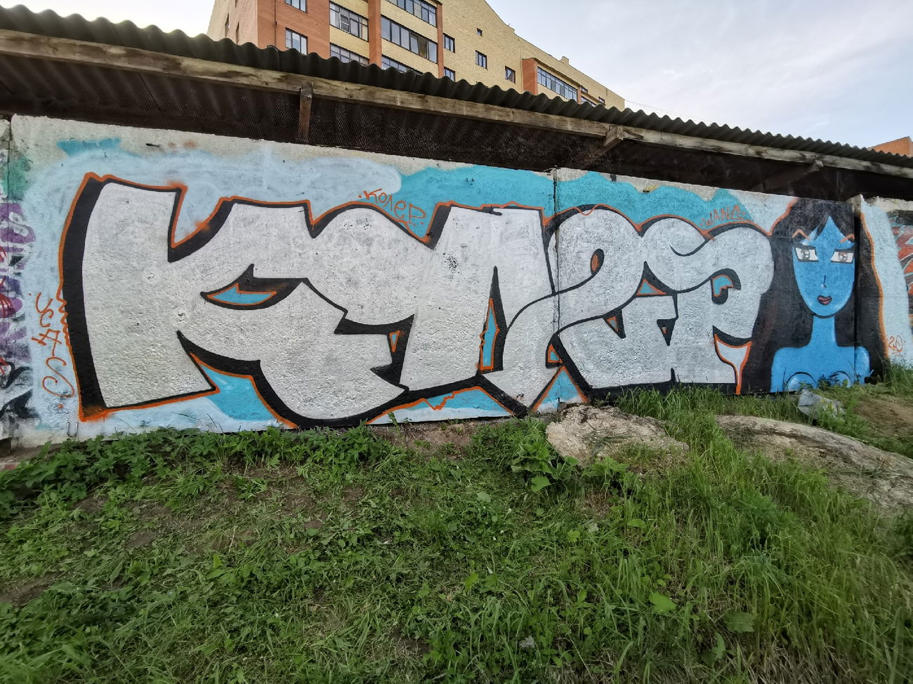 Graffiti Wall - Photo by Coler - ucas, ucascrew, koler (2020)