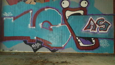 Graffiti Bombing - Photo by Coler - ucas, ucas, crew
