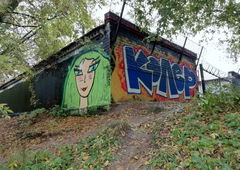 Graffiti Wall - Photo by Coler - wang, koler, coler (2021)