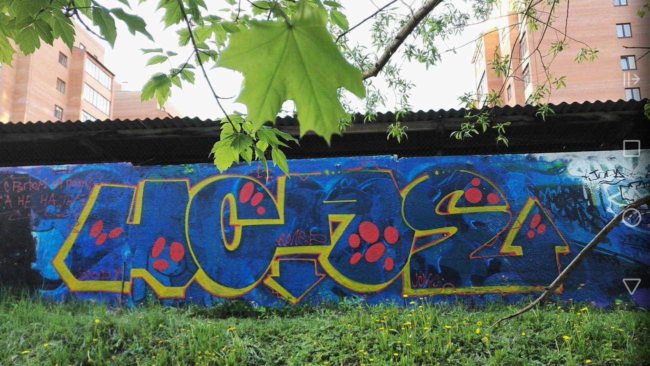 Graffiti Wall - Photo by Coler (2017)