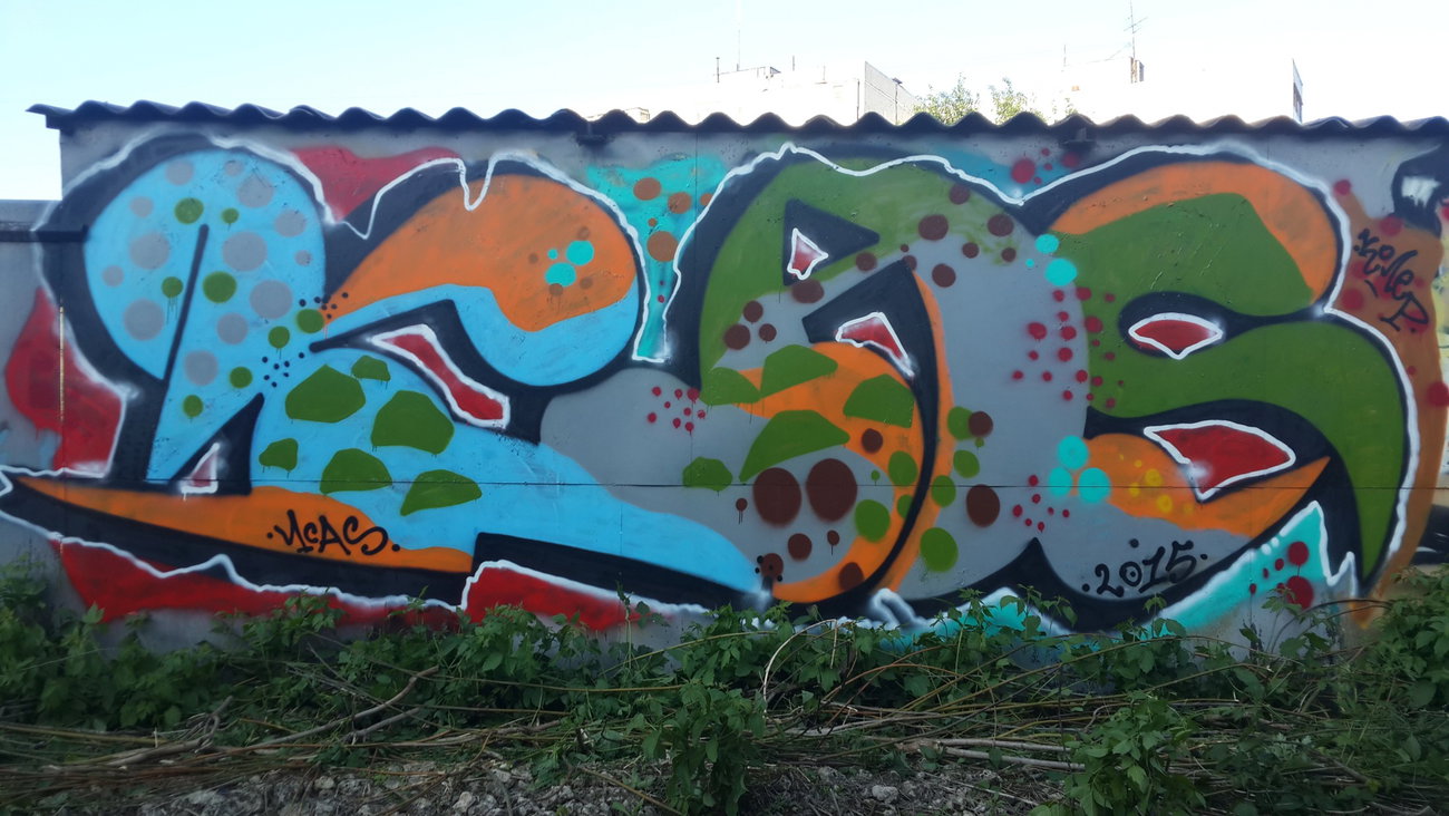 Graffiti Wall - Photo by Coler - ucas, ucas, crew (2015)