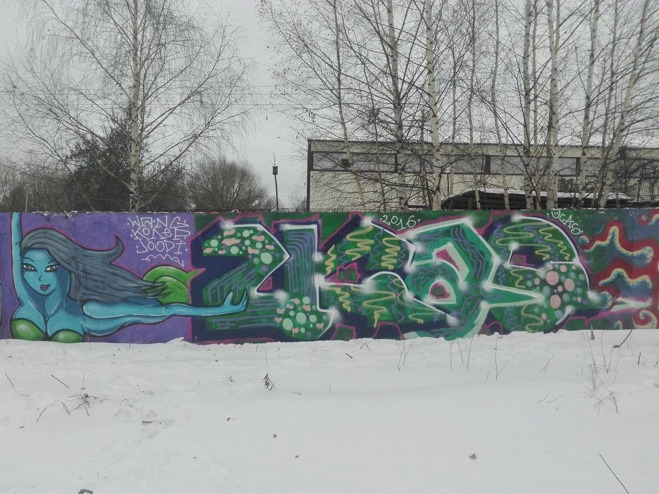 Graffiti Wall - Photo by Coler - ucas, crew, ucas (2016)