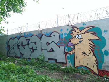 Graffiti Wall - Photo by Coler - ucas, ucascrew, koler (2019)