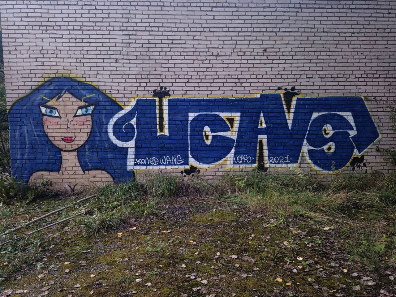 Graffiti Wall - Photo by Coler - ucas, ucascrew, koler (2021)