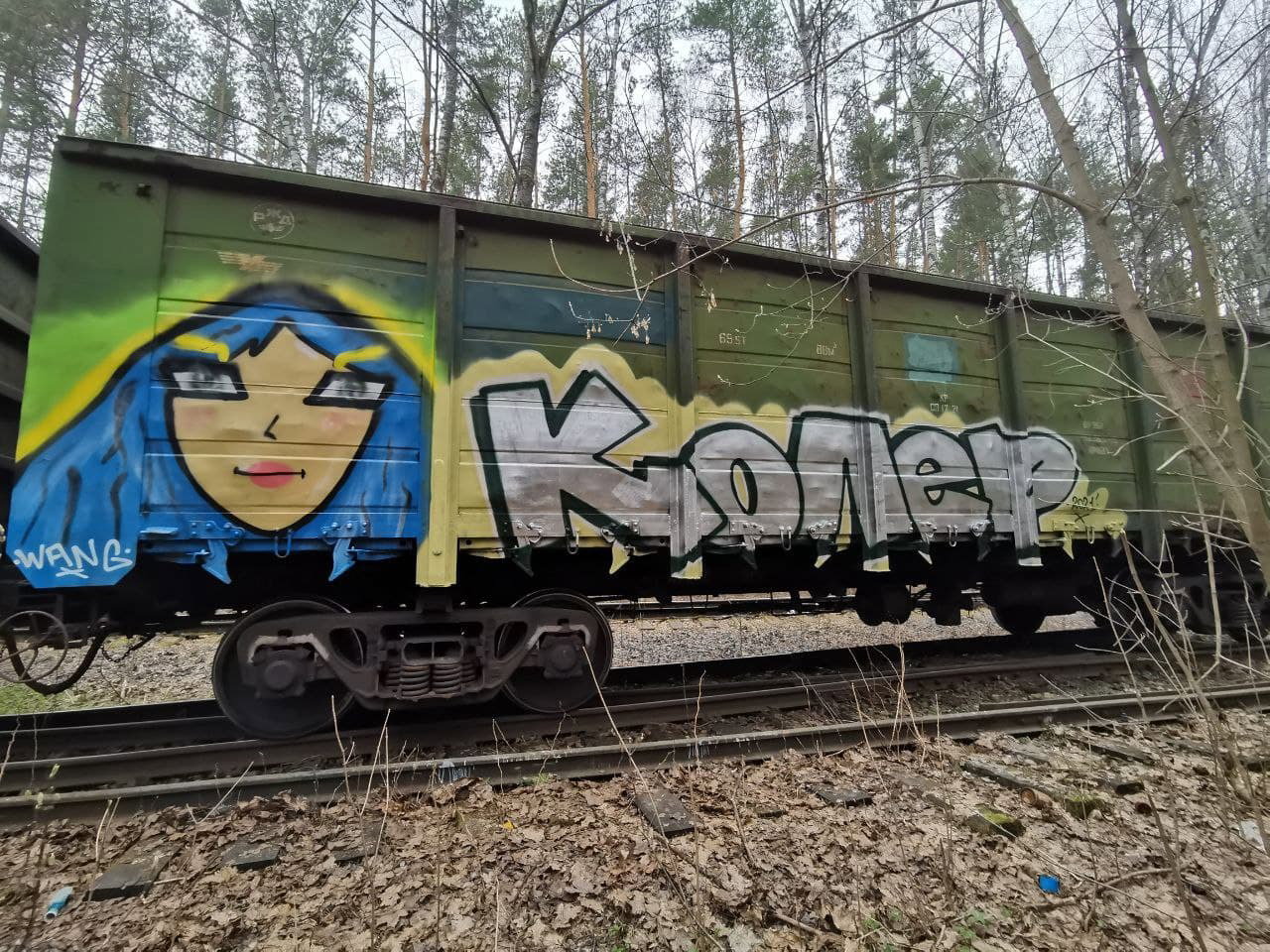 Graffiti Train - Photo by Coler - wang, koler, coler (2021)