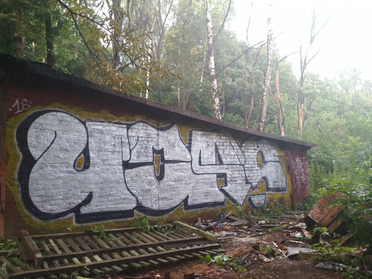 Graffiti Wall - Photo by Coler - ucas, ucascrew, koler (2018)