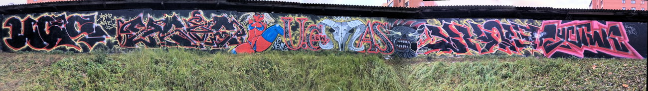 Graffiti Wall - Photo by Coler - UCAS, CREW, 6 (2017)