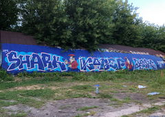 Graffiti Wall - Photo by Coler - shark, koler, bars (2020)