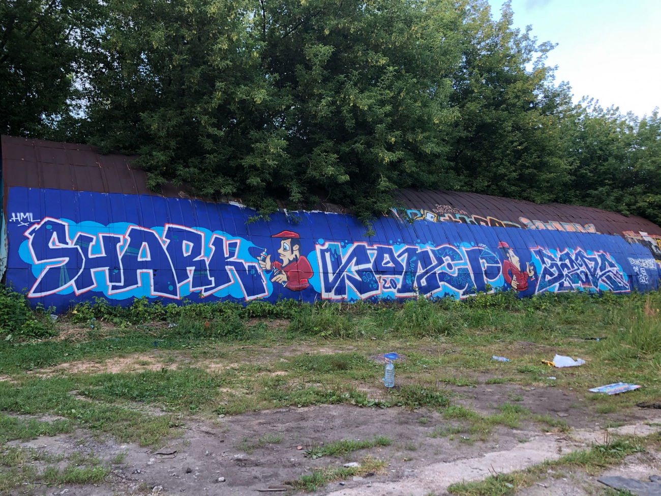 Graffiti Wall - Photo by Coler - shark, koler, bars (2020)