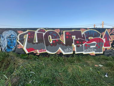 Graffiti Wall - Photo by Coler - ucas, ucascrew, koler (2021)