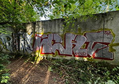 Graffiti Wall - Photo by Coler - ucas, ucascrew, koler (2024)
