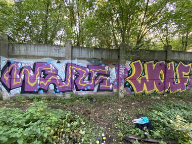 Graffiti Wall - Photo by Coler - ucas, ucascrew, koler
