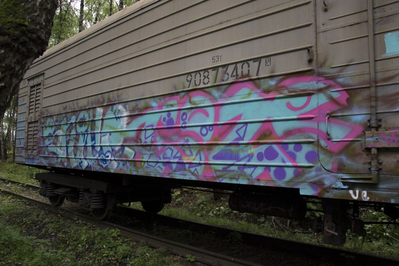 Graffiti Train - Photo by Coler - sniker, coler, stader (2015)