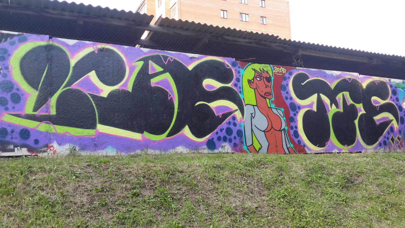 Graffiti Wall - Photo by Coler - ucas, tfs, koler (2015)