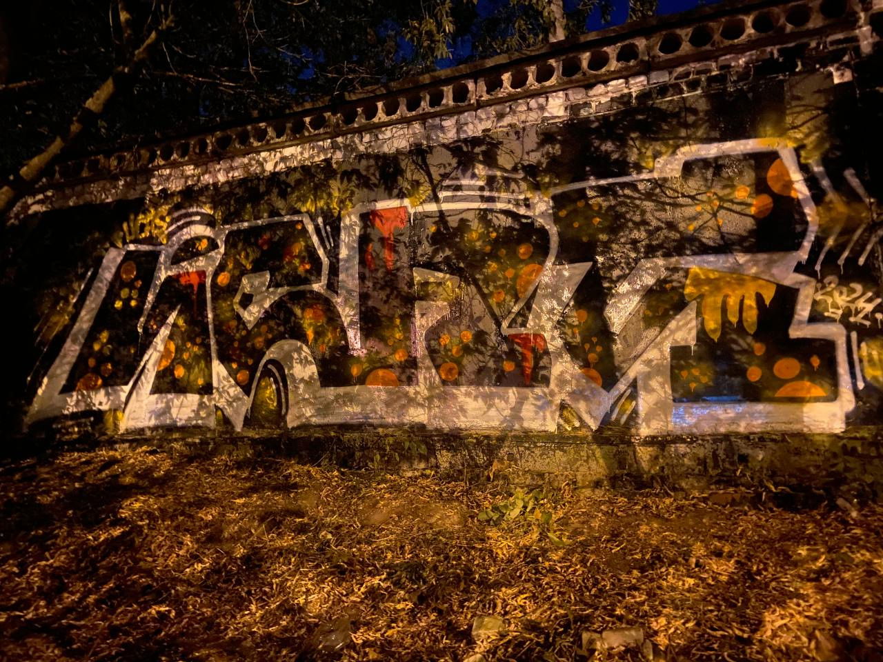 Graffiti Wall - Photo by Coler - ucas, ucascrew, koler (2024)