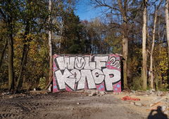 Graffiti Wall - Photo by Coler - wolf, колер, koler (2022)