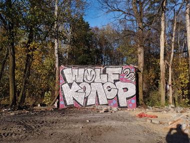 Graffiti Wall - Photo by Coler - wolf, колер, koler (2022)