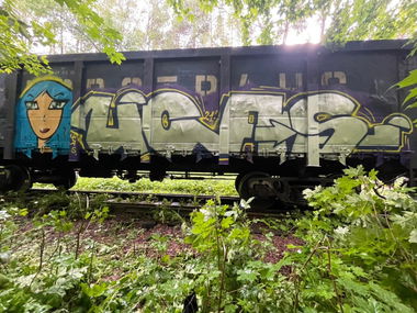 Graffiti Train - Photo by Coler - ucas, ucascrew, wang (2021)