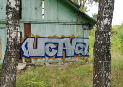 Graffiti Wall - Photo by Coler - ucas, ucascrew, koler (2021)