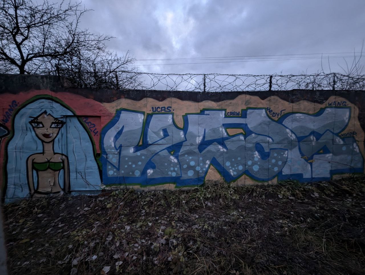 Graffiti Wall - Photo by Coler - ucas, ucascrew, koler (2024)