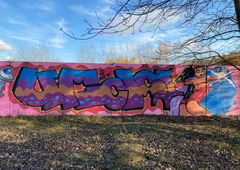 Graffiti Wall - Photo by Coler - ucas, ucascrew, koler (2020)