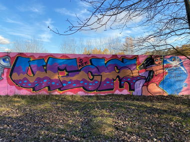 Graffiti Wall - Photo by Coler - ucas, ucascrew, koler (2020)