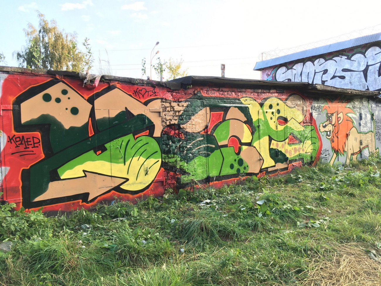 Graffiti Wall - Photo by Coler - ucas, ucascrew, koler (2017)