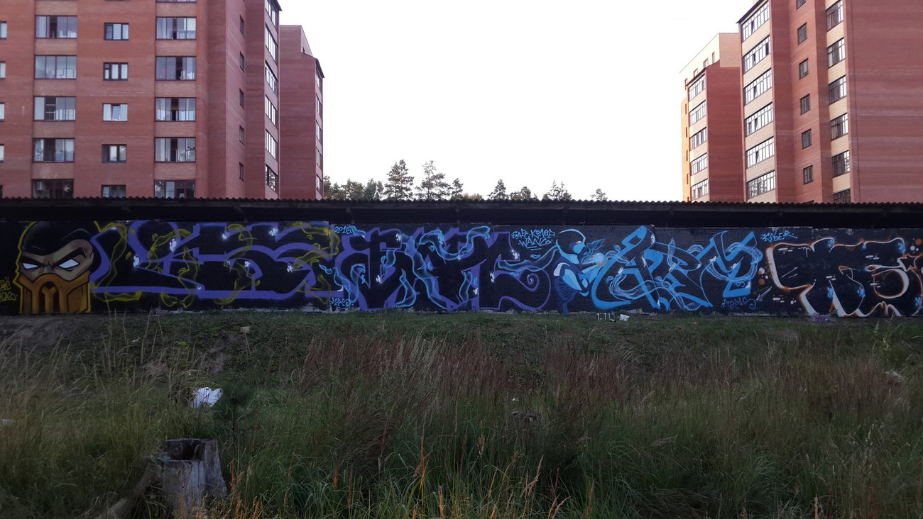 Graffiti Wall - Photo by Coler - jake, koler, bars (2015)