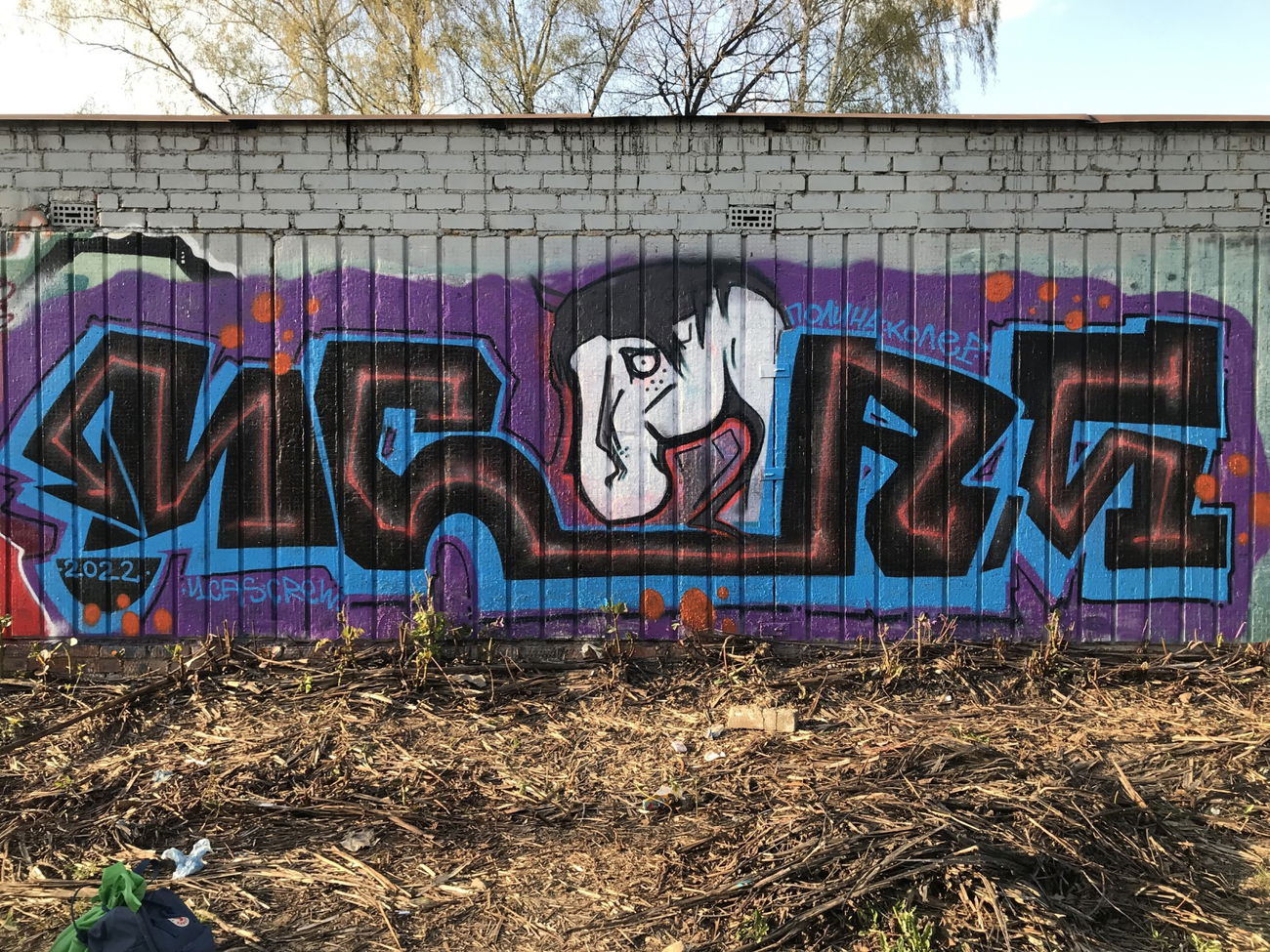 Graffiti Wall - Photo by Coler - ucas, ucascrew, koler (2022)