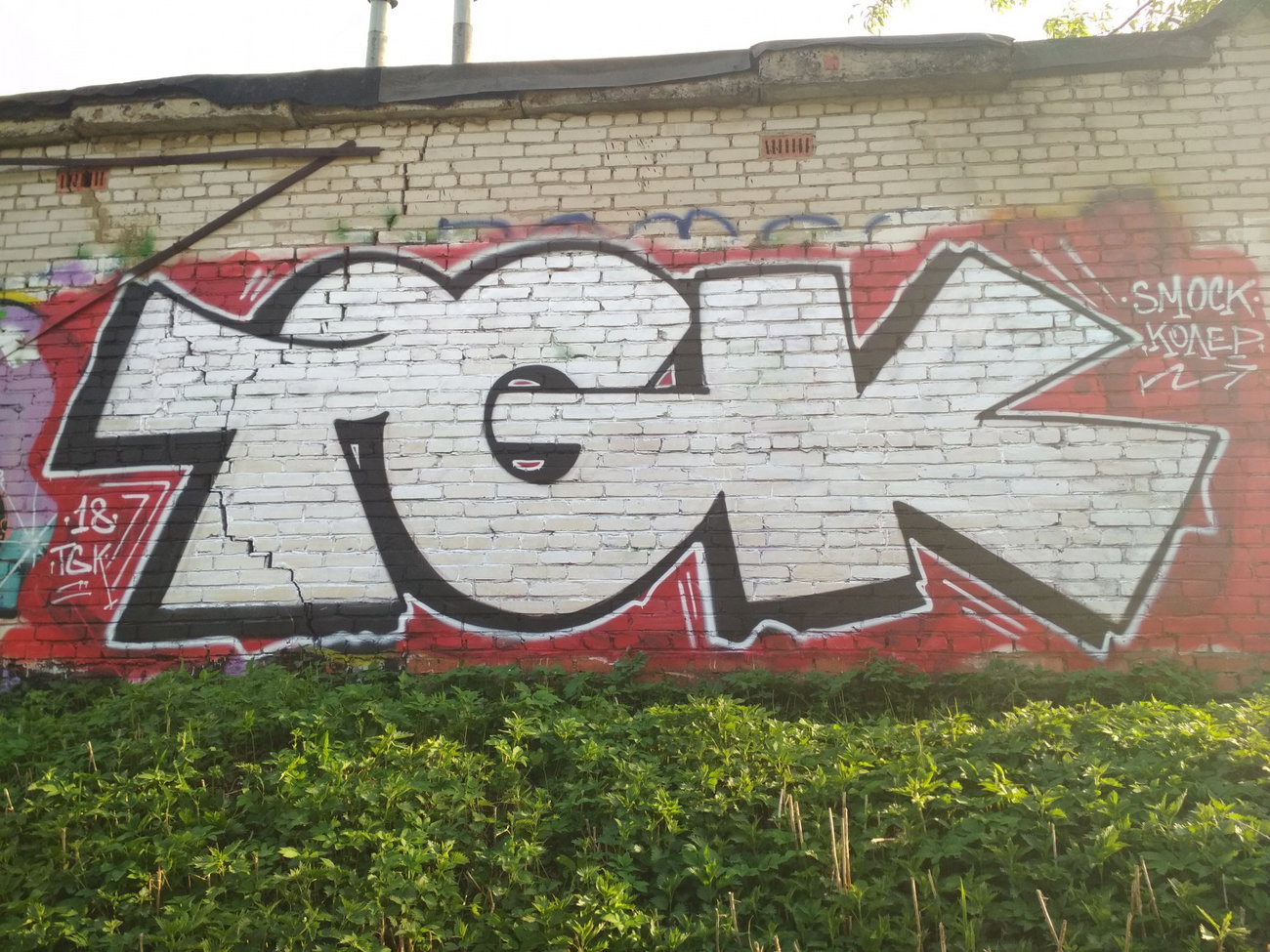 Graffiti Wall - Photo by Coler - tgk, ucas, koler (2018)