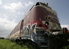 Photo #98567 by daREALziegenpeter