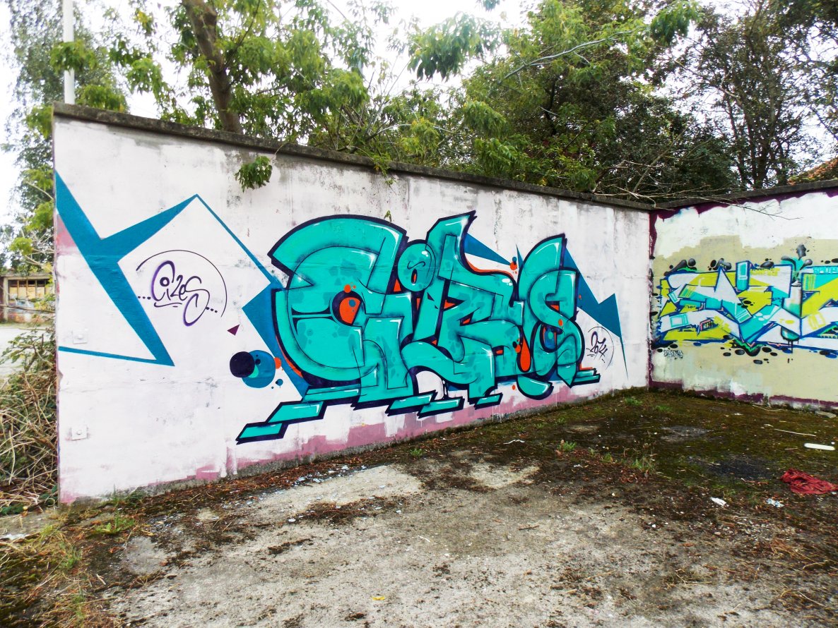 Graffiti Wall - Photo by Coma31 - CILES (2014)