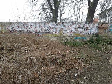 Graffiti Bombing - Photo by Coma31 (2016)