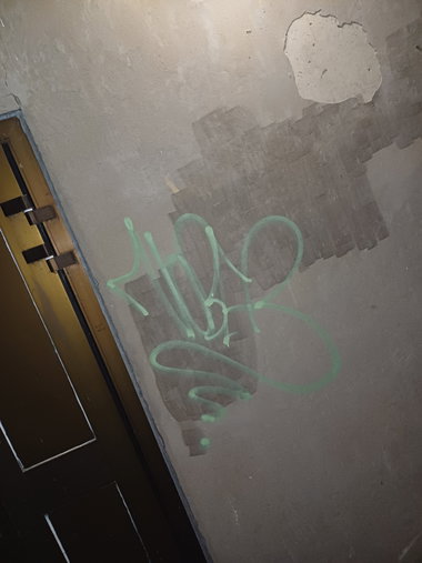 Graffiti Bombing - Photo by Coolakillen