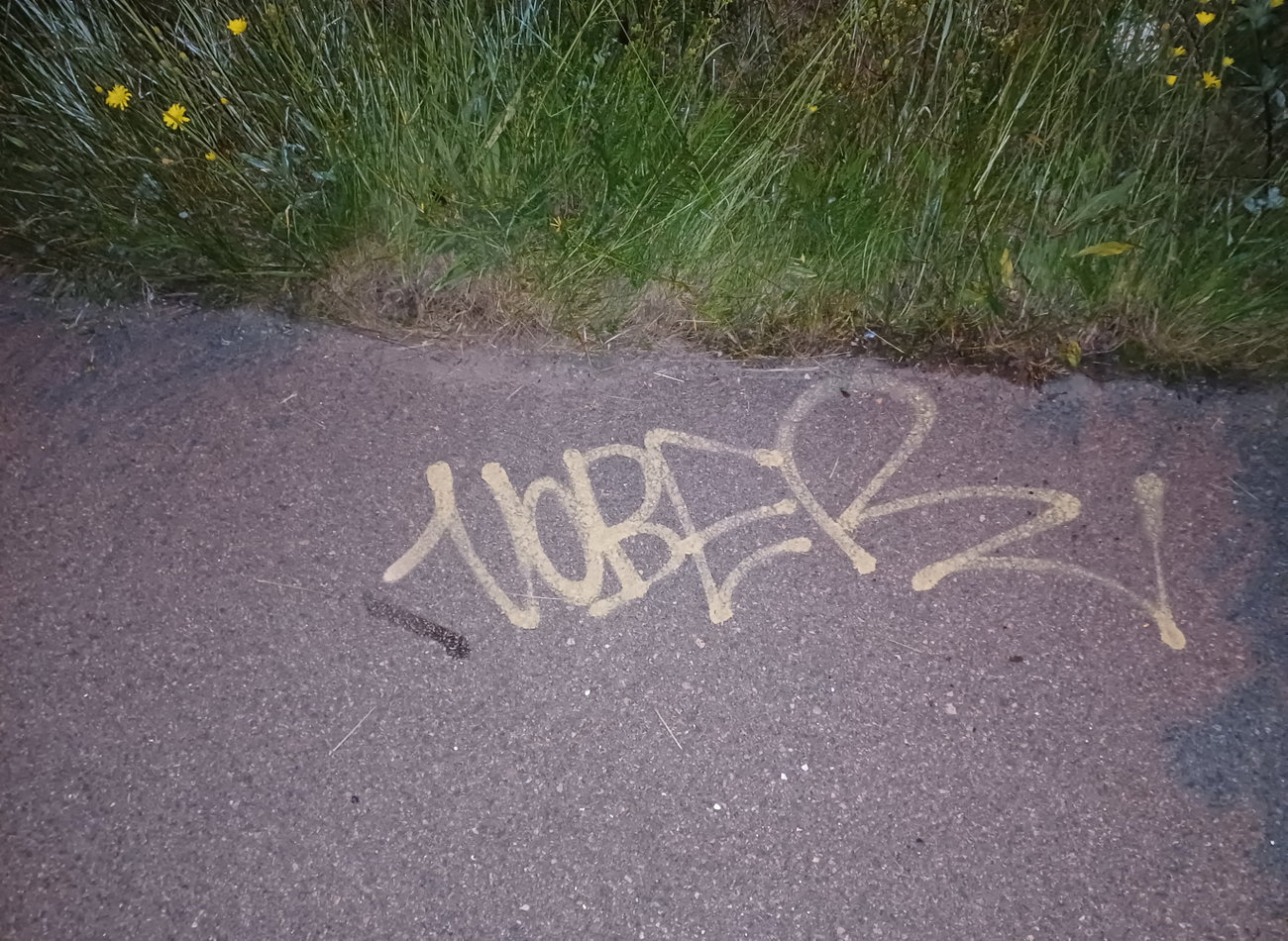 Graffiti Bombing - Photo by Coolakillen