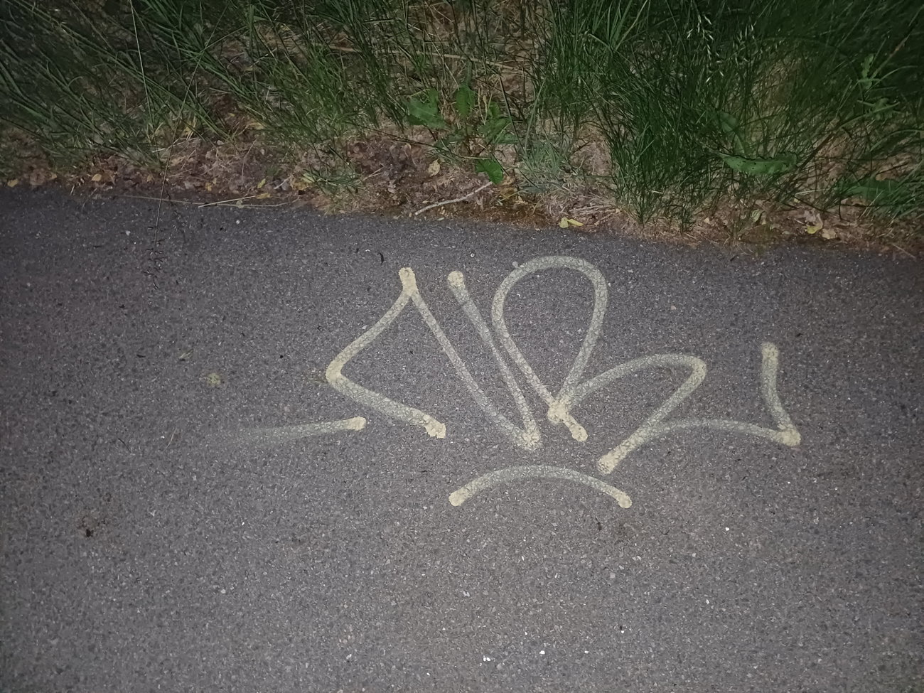 Graffiti Bombing - Photo by Coolakillen