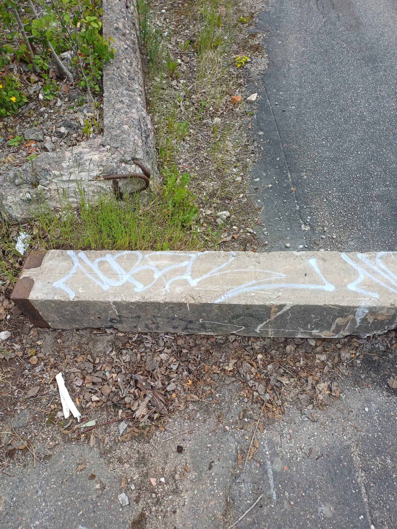 Graffiti Bombing in Ange plats - Photo by Coolakillen