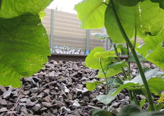 Photo #172768 by Tisot