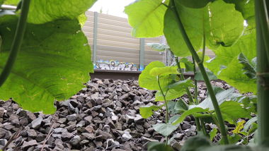 Graffiti Artwork - Photo by Coolpix510 - Fotos