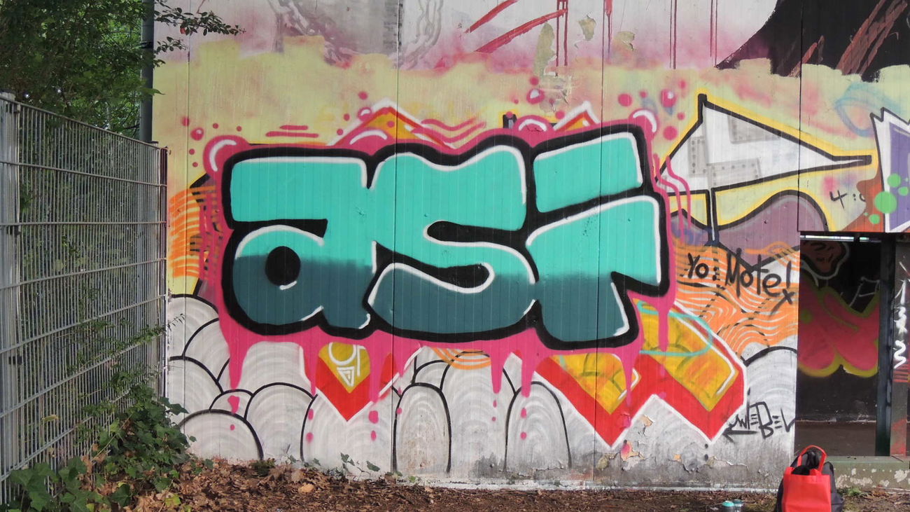 Graffiti Wall - Photo by Coolpix510 - LGHallLegal, Yo:Mote1