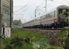 Photo #172769 by c1ok