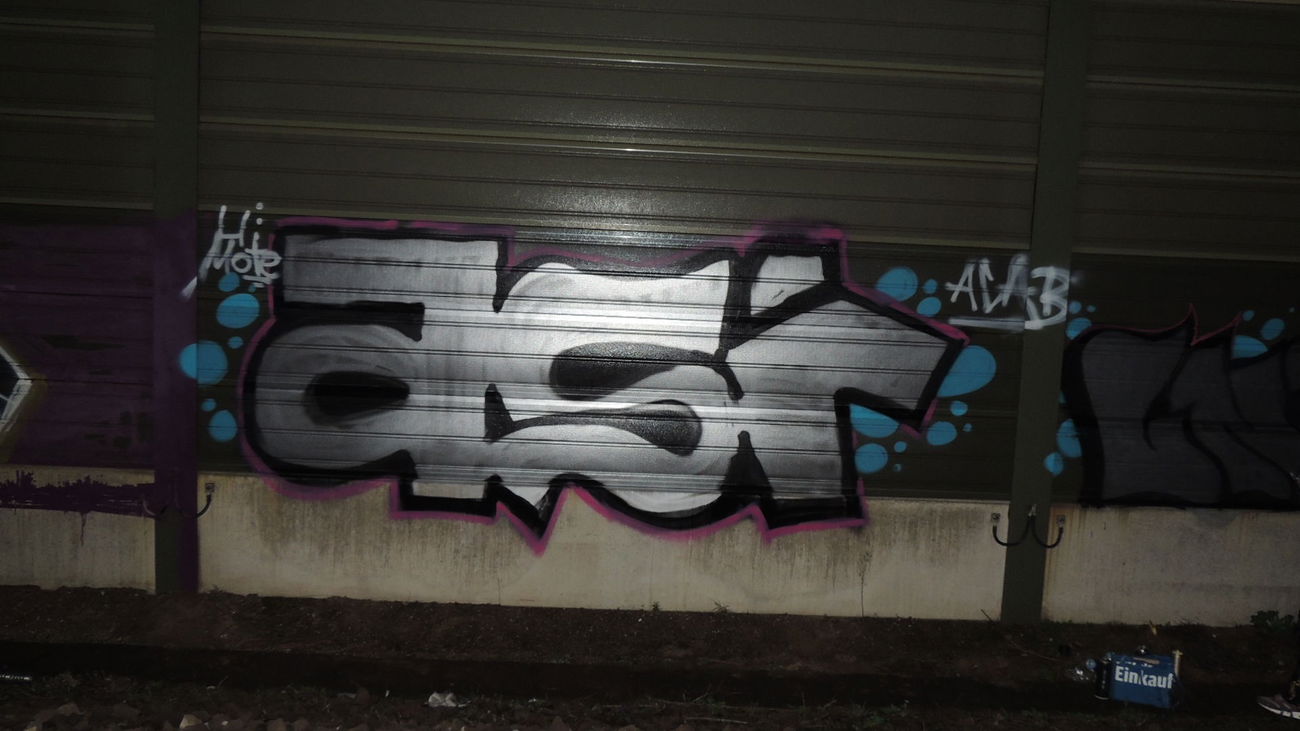 Graffiti Bombing - Photo by Coolpix510 - AnfangszeitLG