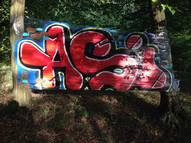 Graffiti Artwork - Photo by Coolpix510 - FollieWald