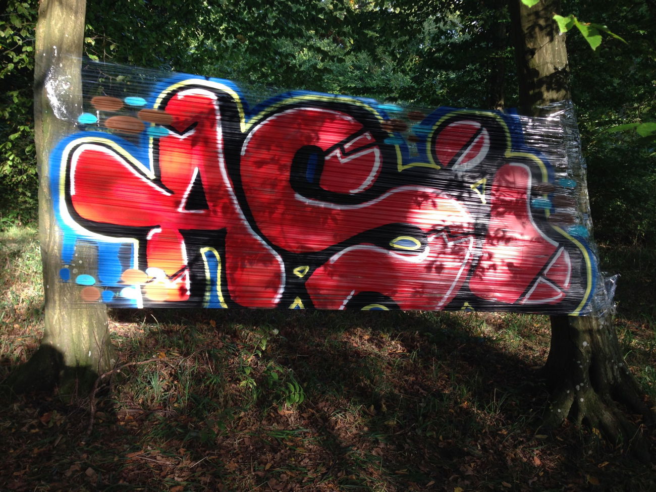 Graffiti Artwork - Photo by Coolpix510 - FollieWald