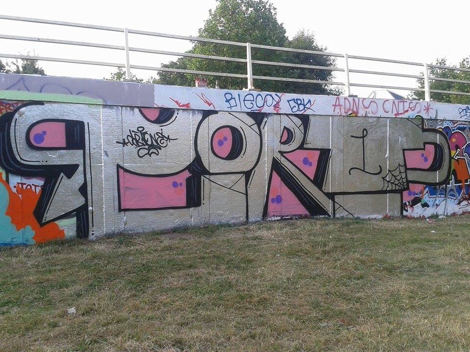 Graffiti Bombing - Photo by Cort1