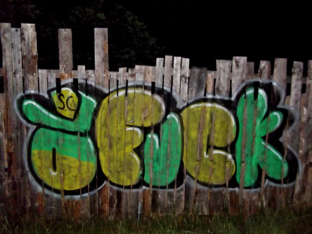 Graffiti Bombing - Photo by Cose41