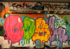 Photo #220075 by koal