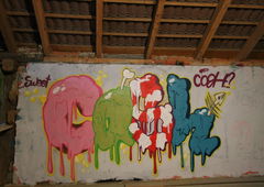 Photo #220074 by Belt